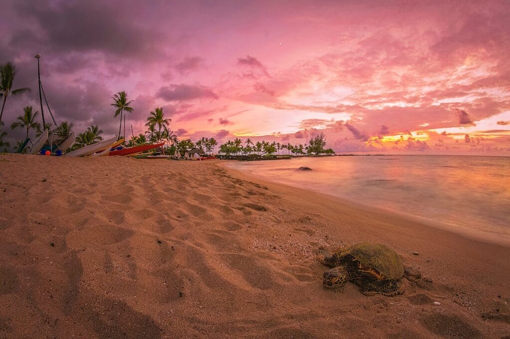 Hapuna Beach – Big Island, Hawaii,