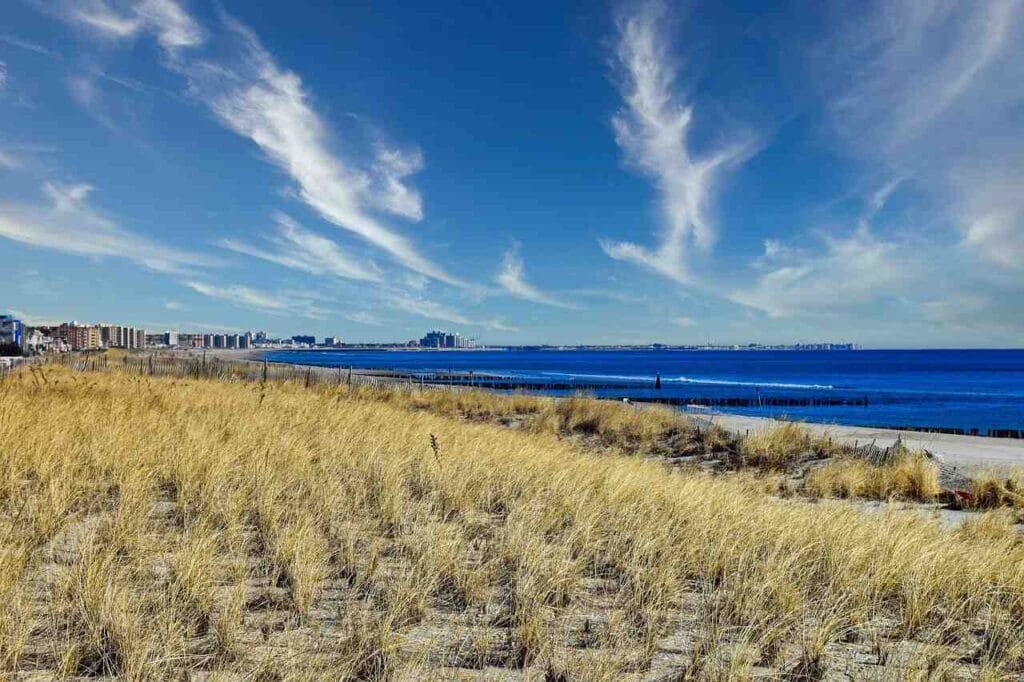 beach-grass-4754138_1280