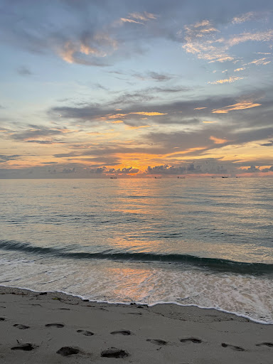 Photo from customer review