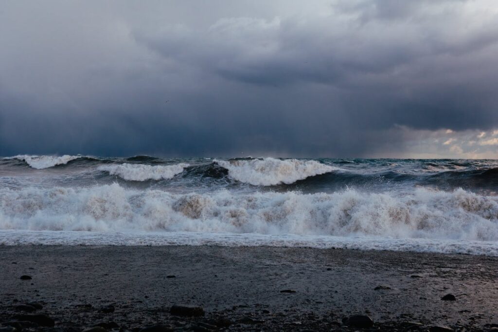 Driftwood Beach – Jekyll Island, Georgia, USA
