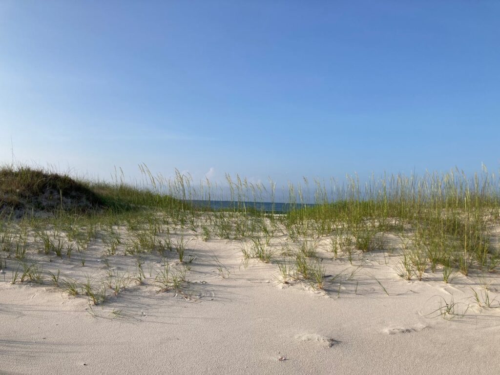 Gulf Shores Beach – Alabama, USA