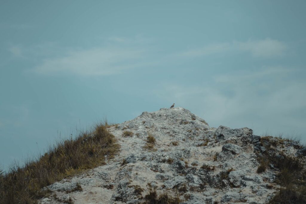 Alfred A. McKethan Pine Island Park