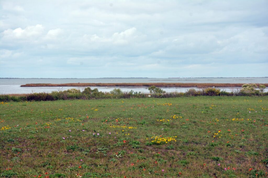 El Jardin Beach, Seabrook, Texas