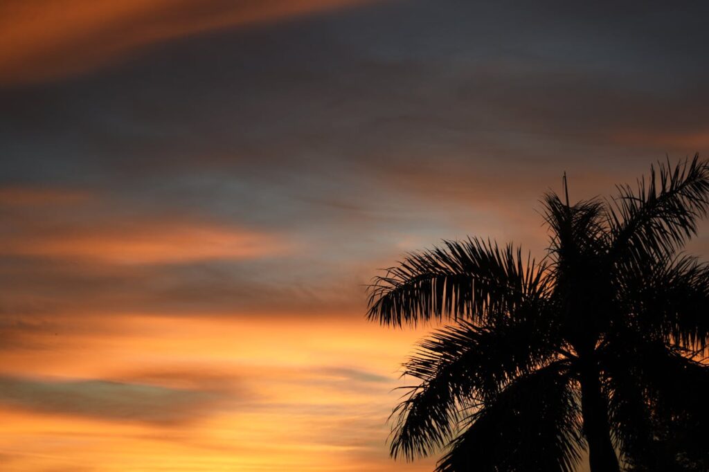 Gulfport Beach Recreation Area