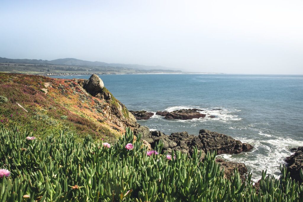 Seacliff State Beach, Aptos, California