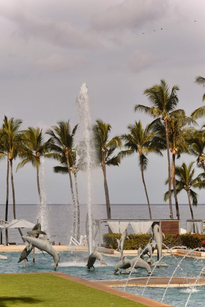 ʻAnaehoʻomalu Beach