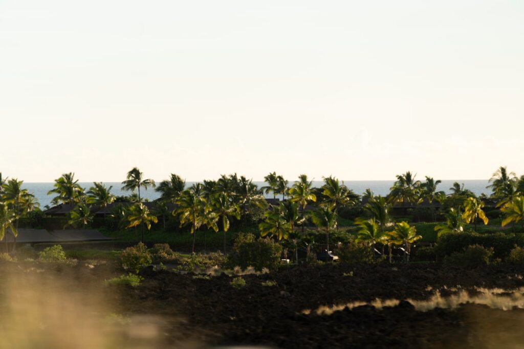 Honoli’i Beach Park