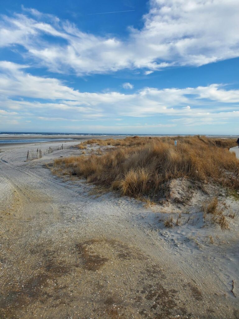 Ocean Grove Beaches