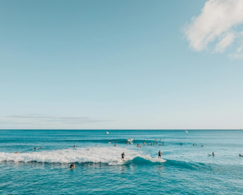 Pine Trees Surfing Beach